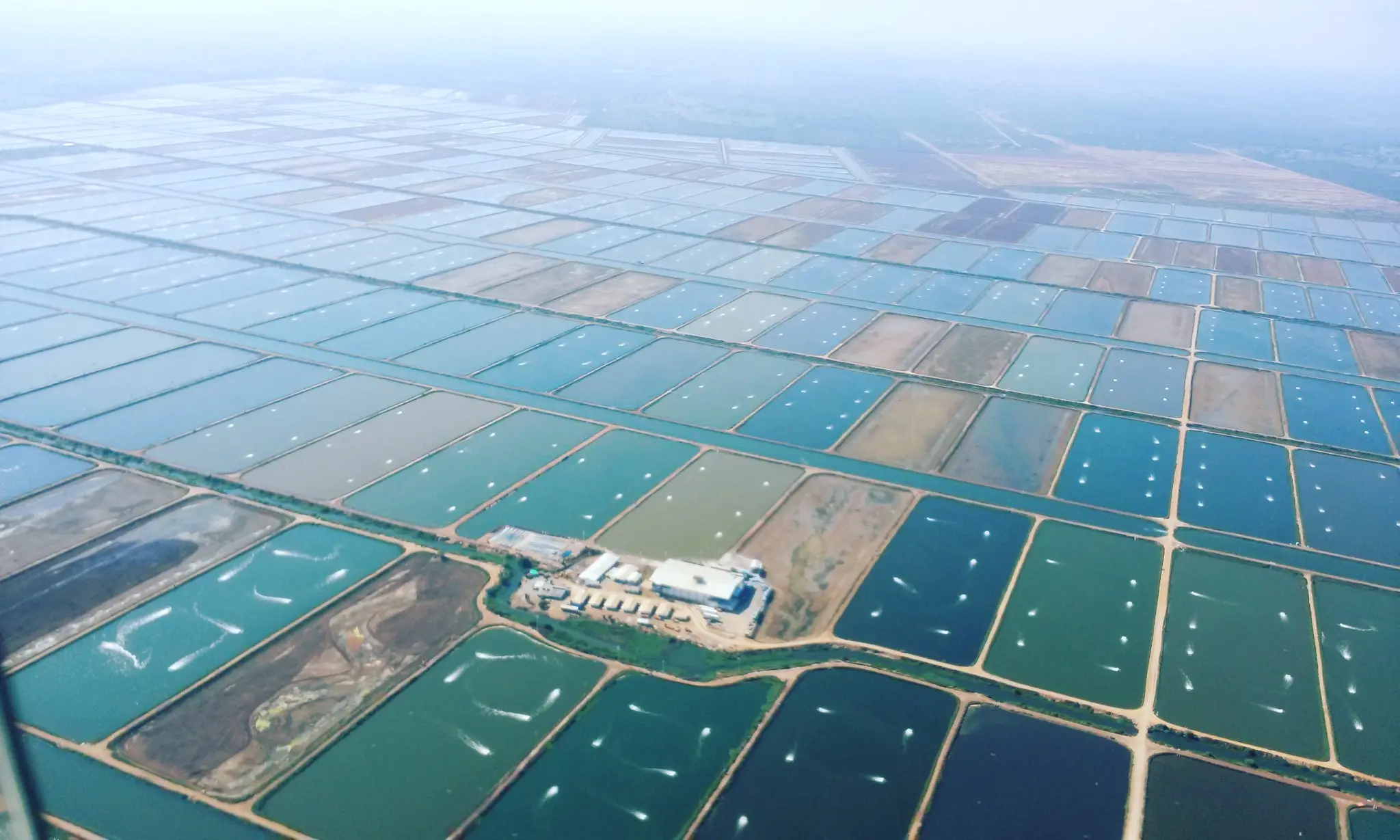 &Lt;B&Gt;Woocommerce Product Field&Lt;/B&Gt; Works Only With Wc Query (From Jetengine Query Builder) Or On Single Product Page