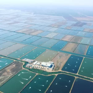 Aquaculture